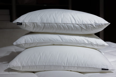 Pillow Core (set of two)
